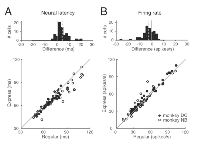 Express와 regular saccades 간의 neural latency (A)와 firing rate (B)의 비교.