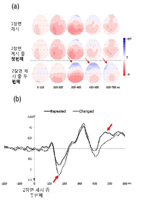 (a) 뇌파 지형도 결과. (b) 조건 별 사건관련 전위 결과