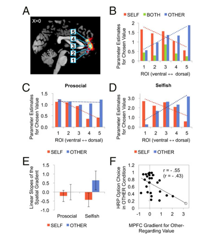 내측 전전두피질의 하위 영역인 복측 부위과 배 측 부위가 각각 자신과 타인을 위한 선택의 가치를 계산 하는데 관여하고 있으며 이러한 기능적 분화가 이타적인 참가자보다는 이기적인 참가자들에게서 관찰된다는 사실 을 보여줌 (Sul et al., 2015).
