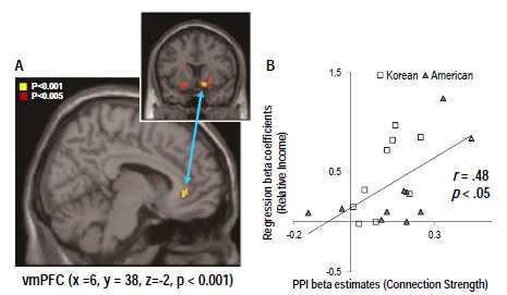 (A) 복측 선조체와 복내측 전전두엽의 기능적 연결, (B) 기능적 연결 강도와 상대적 손익에 대한 회귀계수의 상관