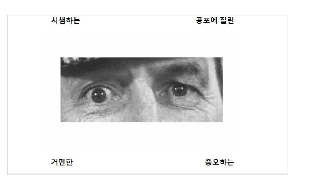 사회 인지과제 표준화의 예