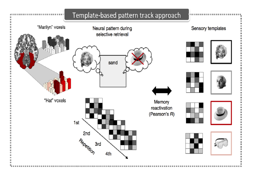Template-based pattern tracking approach를 이용한 Wimber 등(2015)의 연구