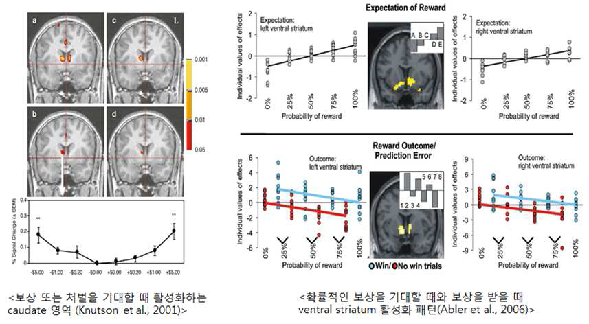 보상 및 처벌에 대한 정보를 처리하는 뇌 영역