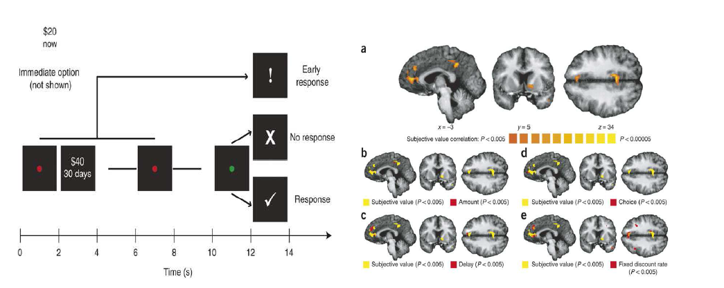 잠정적인 보상의 가치가 달라지는 과제에서 의사결정을 내릴 때 뇌의 basal ganglia와 prefrontal cortex 가 중요한 역할을 하는 것으로 밝혀짐