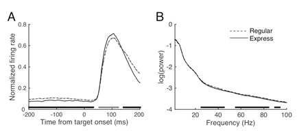 A. Express saccade가 발생한 4240 개 시행(74개 세포)에서 얻어진 활동 수준(실선)과 regular saccade가 발생한 3842 시행의 평균 (점선). X축 위의 굵은 선은 매 1ms 마다 수행한 통계적 차이 검증 결과, 유의미한 차이를 보인 시점들을 표시(pregular). B. 동일한 시행들에 대해 LFP power를 비교한 결과. X축 위의 굵은 선은 통계적 차이 검증이 이루어진 매 0.98Hz/point를 표시.