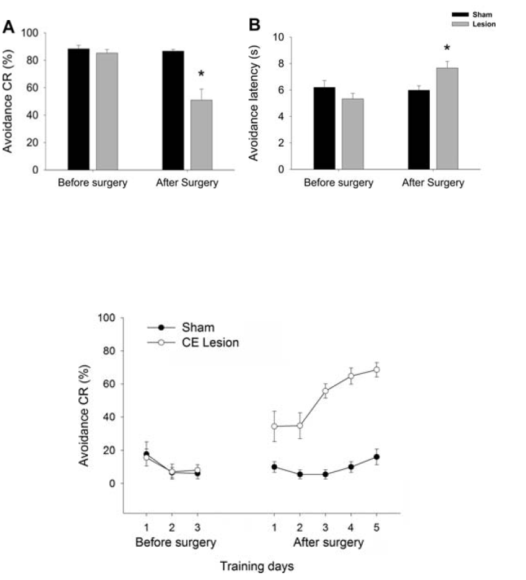 CE 손상 후 회피학습양상