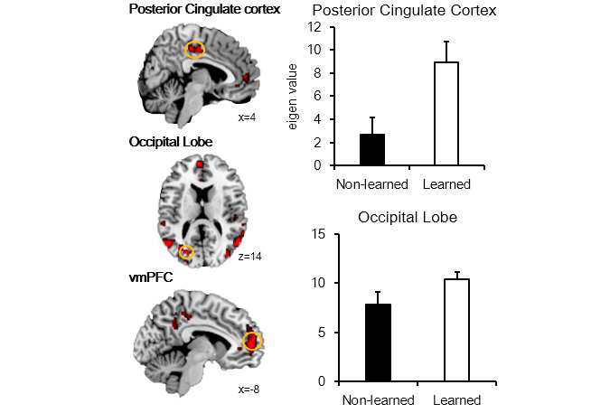 학습된 단서 자극을 처리할 때 더 많은 활성화를 보이는 두뇌 영역(Learned Stimulus > Non-learned Stimulus).