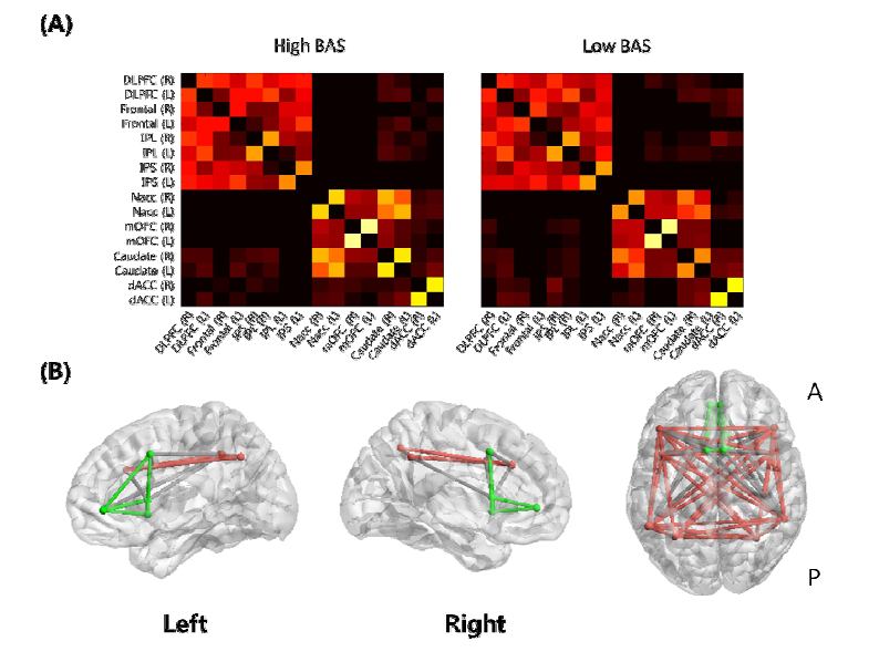 16개의 노드들로 구성된 두뇌 네트워크: (A) 두 BAS 집단의 평균 보상 및 통제 네트워크 행렬, (B) 모든 참가자의 평균화된 네트 워크 행렬을 시각화 하여 나타낸 그림(보상-green, 통제-red, 보상-통 제 연결-gray).