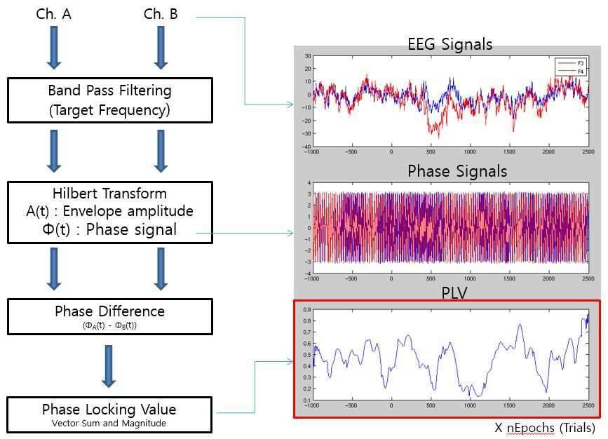 Finite Impulse Response (FIR)와 Hilbert Transform을 이용한 특정 밴드 신 호 크기와 위상 계산 모델