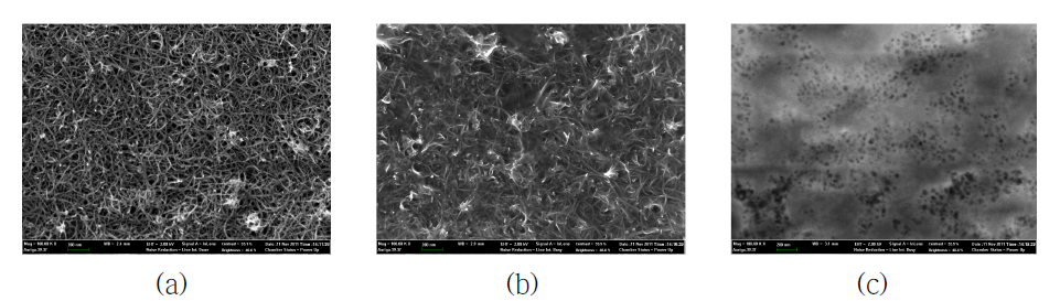 (a) BC-CNT, (b) BC-CNT-GOx, (c) BC-CNT-GOx-chitosan 전극 SEM 이미지