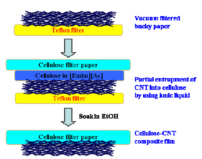 CNT-셀룰로오스 composite 제작 과정