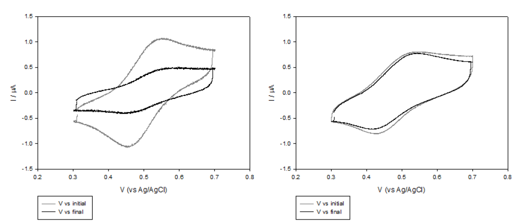 CAC/ABTS/양이온성 고분자 고정화 전극의 1000 cycle 전후의 CV 비교.