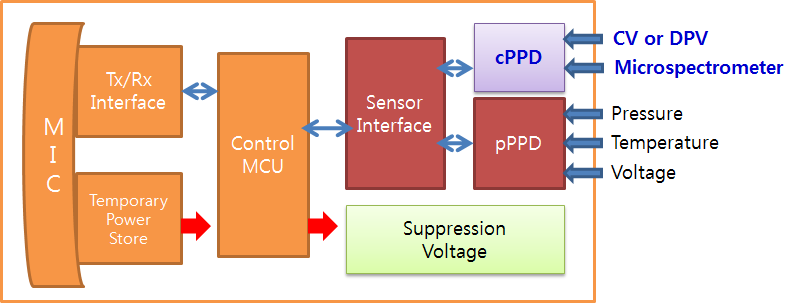 Implanted WPDT + pPPD + cPPD 구성도