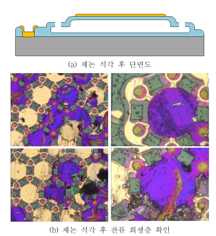 제논 식각후 잔류 희생층 여부 확인