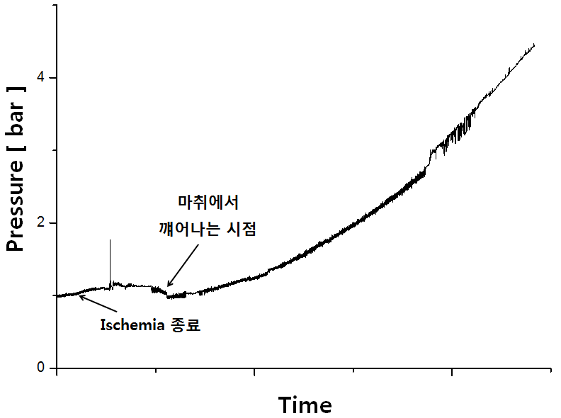 Ischemia 모델 시술 후 압력 변화