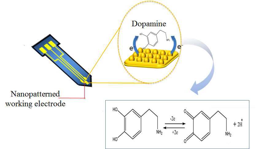 표면개질 금 3전극 도파민 센서