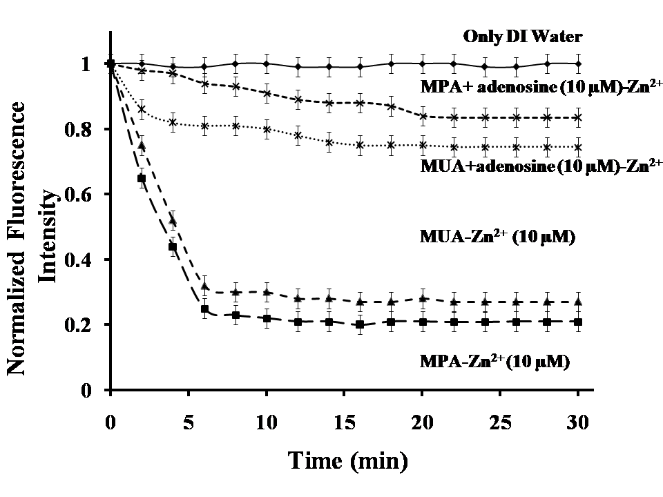 아데노신 투입후 시간에 따른 InP/ZnS 양자점의 형광 recovery