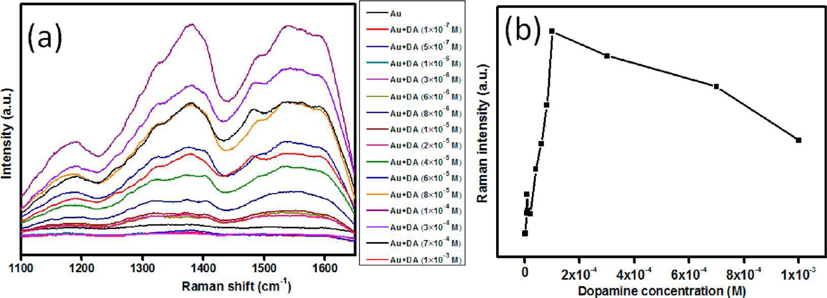 (a) Raman spectra of different concentrations of DA (1×10−7 to 1×10−3 M) adsorbed on Au NPs, (b) Raman intensity of DA adsorbed Au NPs at 1480 cm−1 with increasing concentrations of DA