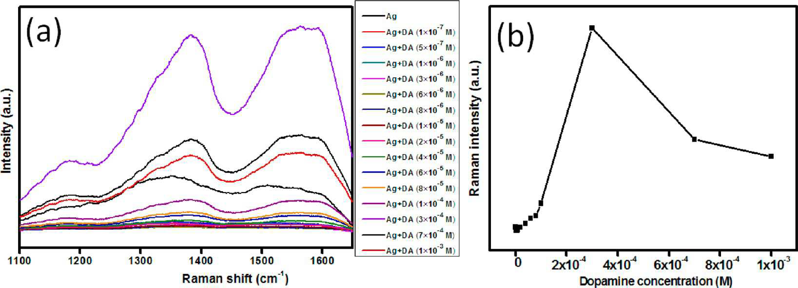 (a) Raman spectra of different concentrations of DA (1×10−7 to 1×10−3 M) adsorbed on Ag NPs. (b) Raman intensity of DA adsorbed on Ag NPs at 1590 cm− 1 with increasing DA concentration.