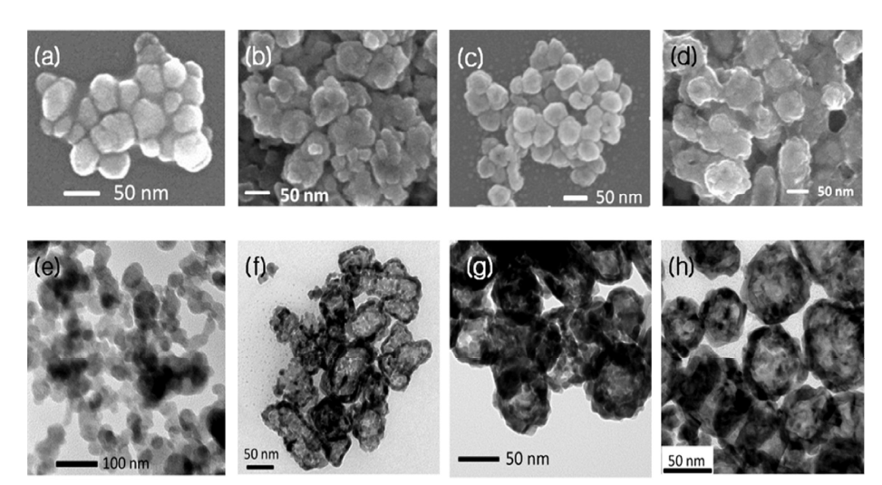 SEM and TEM images of Ag NPs and three kinds of AgcoreAushell NPs