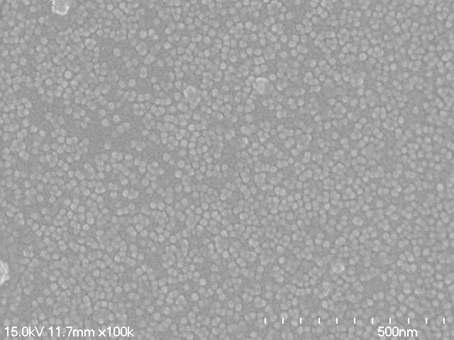 SEM image of two-dimensional array of ZnSe-ferritin nanodots on modified silicon surface.