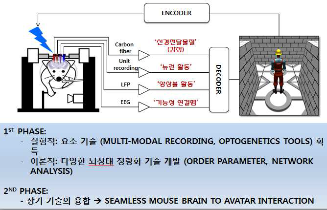 1단계에서 구축한 광유전학적 뇌자극 및 멀티모덜 뇌측정기술을 결합하여 2단계에서 마우스-아바타 인터랙션을 실현하는 데 활용