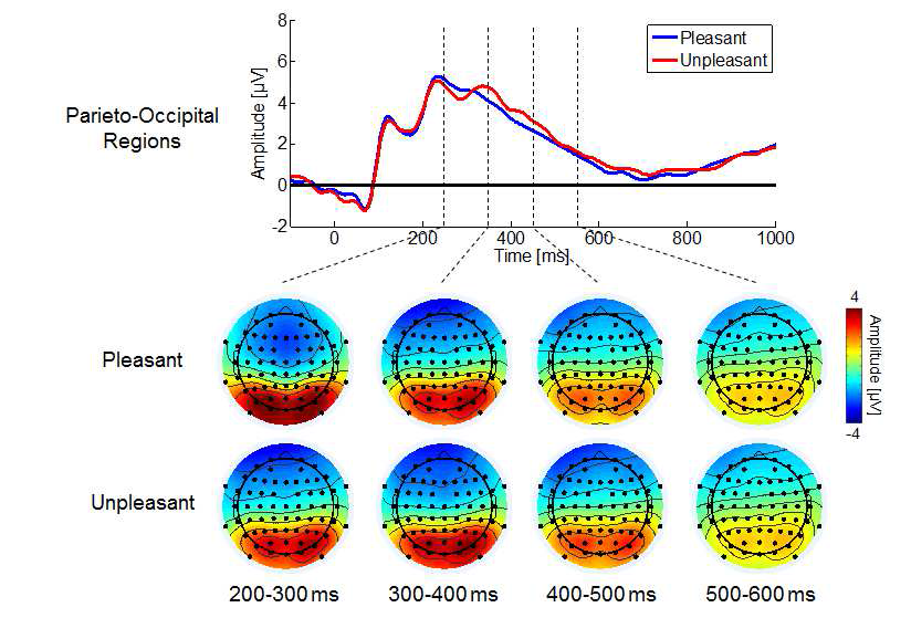 두정-후두 영역에서의 사건관련전위 파형 및 주요 시간구간 별 두피면상 분포