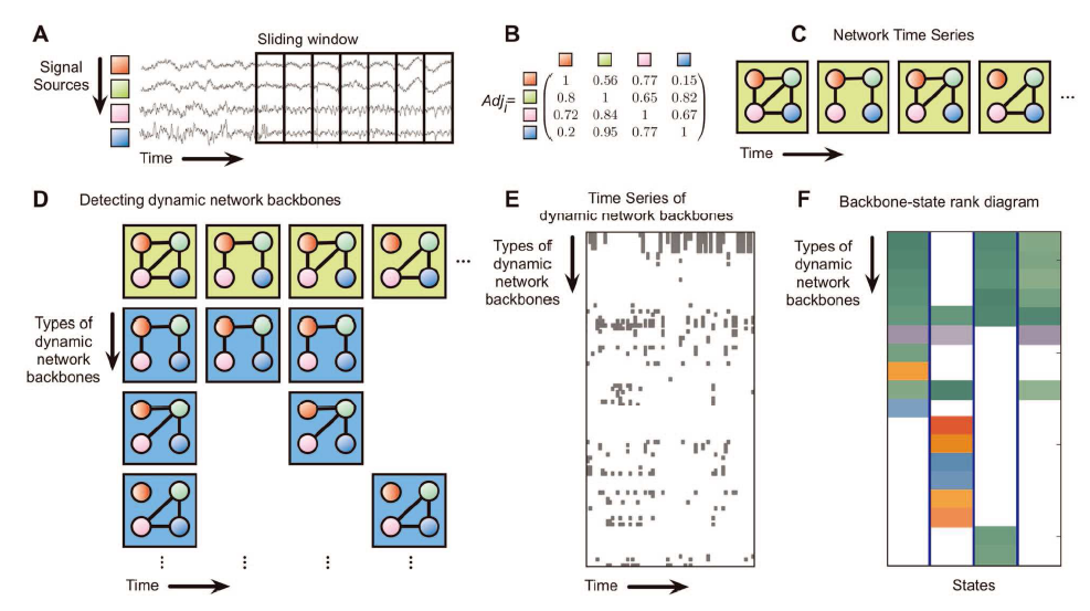 EEG 시계열 데이터로부터 동적 네트워크의 뼈대(backbones)를 추출하는 과정의 모식도
