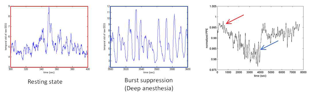 마취 뇌파 데이터에 Power permutation entropy를 적용한 결과.