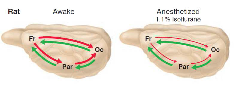 Alkire et al. Science 2008