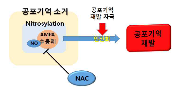연합기억의 작용기전 규명 및 활용기술 개발
