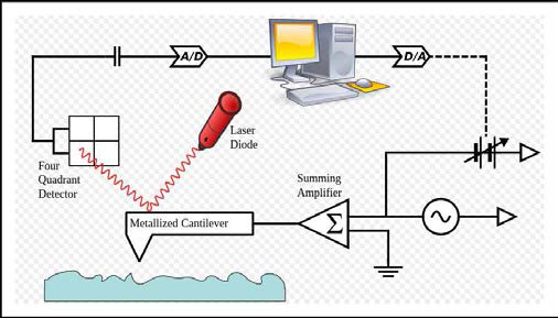 Atomic force microscopy-Kelvin probe force microscopy