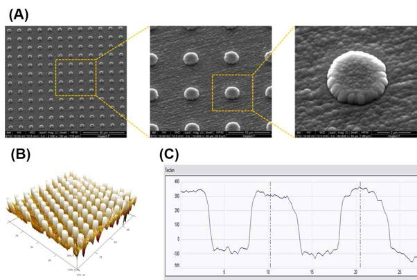 지형구조를 갖는 세포배양용칩 표면 측정.
