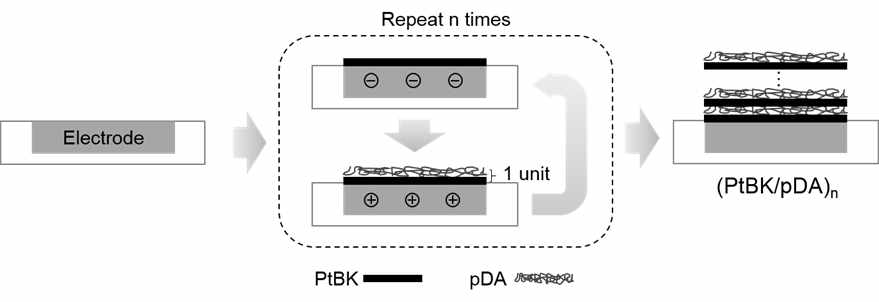 폴리도파민-흑백금 미세전극의 제작 모식도