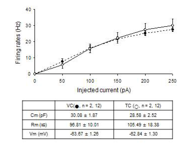 측두연합피질 신경세포 (TC)와 1차 시각피질 신경세포 (VC)의 excitabitlity의 비교