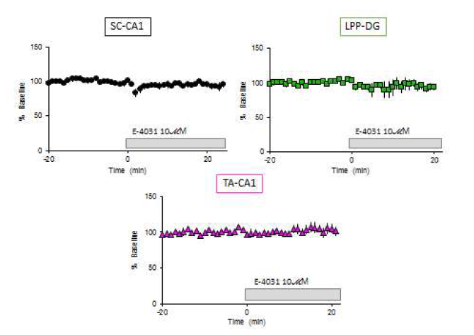 해마체 각 회로의 기본 시냅스 신호전달 (basal synaptic transmission) 에 미치는 E-4031의 효과