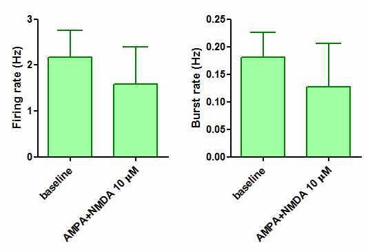 AMPA와 NMDA에 대한 신경 신호 반응 분석 결과