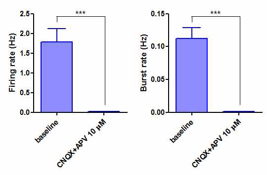 CNQX와 AP5에 대한 신경 신호 반응 분석 결과