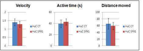 Inducible 제브라피쉬에서의 운동패턴 실험.