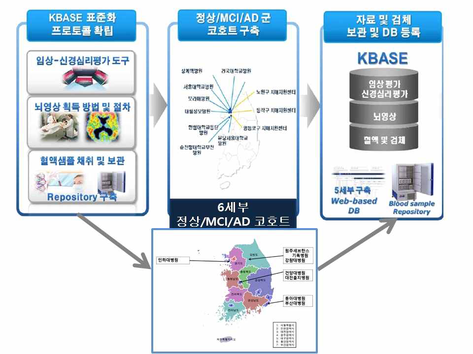 세부 경상도/강원/충청 코호트와 기존 KBASE 세부들 간의 협력 연구 흐름도