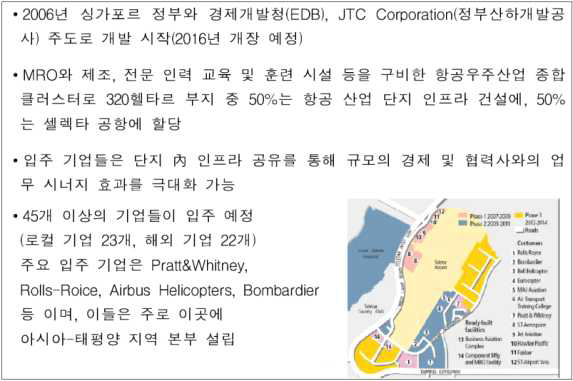 셀렉타 에어로스페이스 파크 조성사례 - URA Master Plan