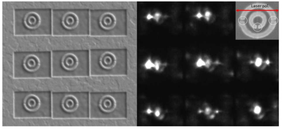 플라즈모닉 나노구조의 시공간적 응답특성을 분석하기 위한 분석 기법연구를 위해 제작된 플라즈모닉 나노 Ring구조의 SEM사진(왼쪽)과 PEEM을 통해 관찰된 광전자 현미경 이미지 사진(오른쪽)