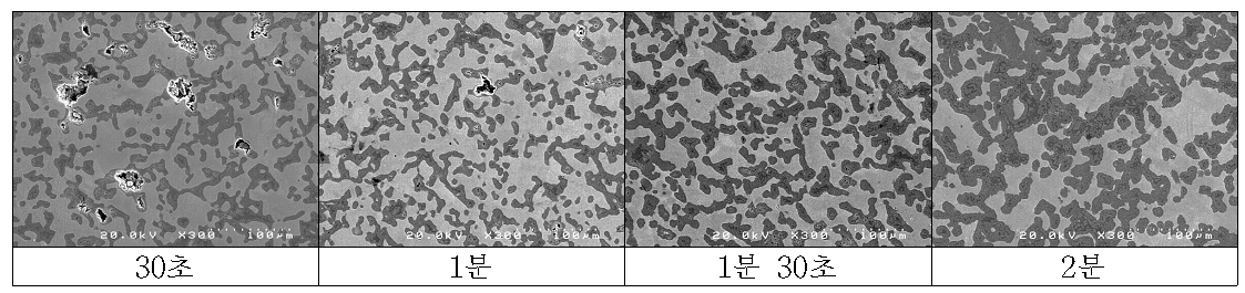 알루미늄 용침 후의 SEM 이미지