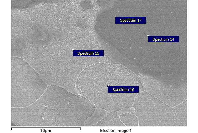열처리후의 SEM 이미지