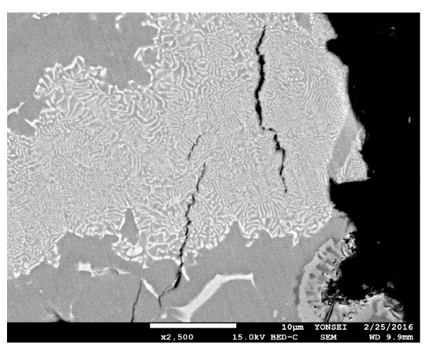 열처리 시편의 파단 SEM 이미지