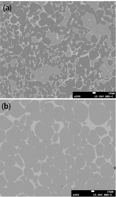 1000℃에서 (a)1시간 (b)5시간 열처리한 시편의 SEM 이미지