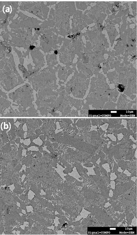 1050℃ 소결 후(a)와 15분 용침 후(b)의 SEM 이미지