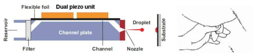 Dual piezo 구조를 가진 inkjet nozzle의 개략도와 기본 아이디어