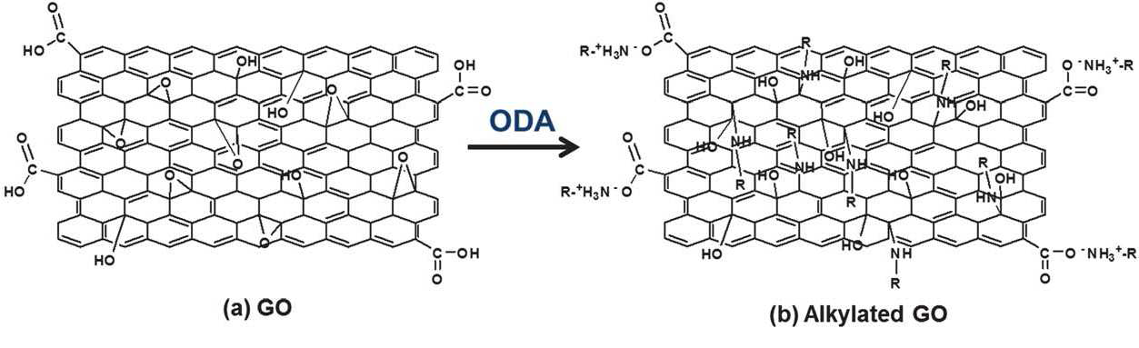 Octadecylamine 기능성 moiety 의 graphene oxide 표면 conjugation scheme.
