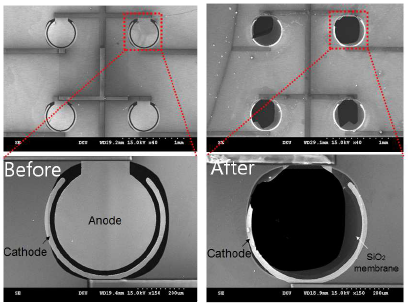 전기 분해 전, 후 센서캡의 FE-SEM 이미지 확인 결과